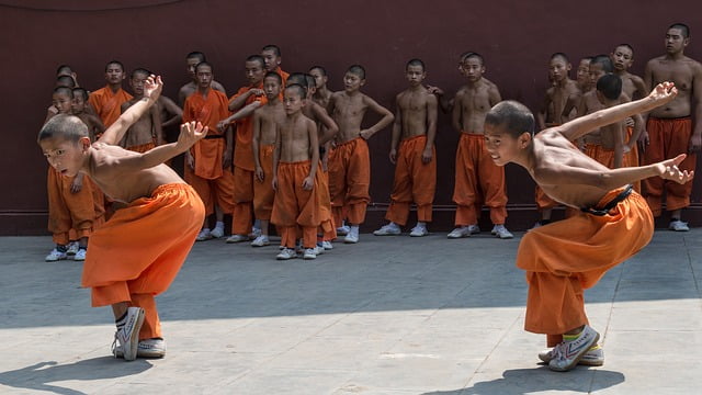 Wushu-Kung Fu